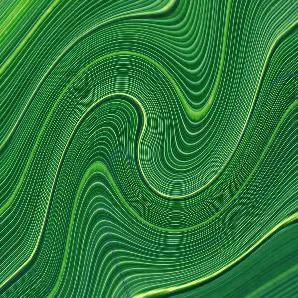 This vector illustration features an abstract pattern design with a swirl of green and blue hues, perfect as a backdrop or background.